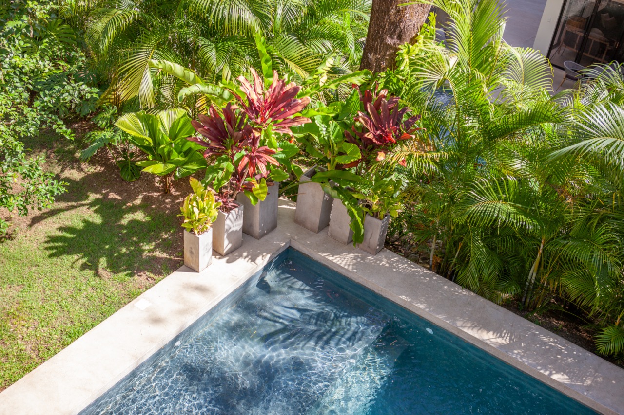 Villa Two pool with tropical plants